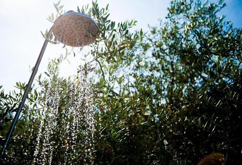 Отель Torricella