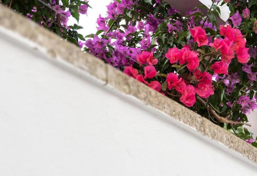 Club Azzurro Hotel & Resort