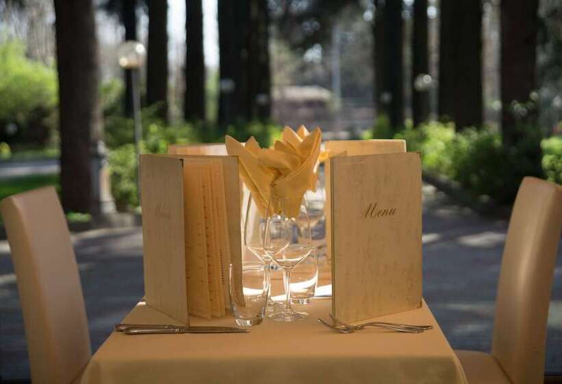 Best Western Air Hotel Linate