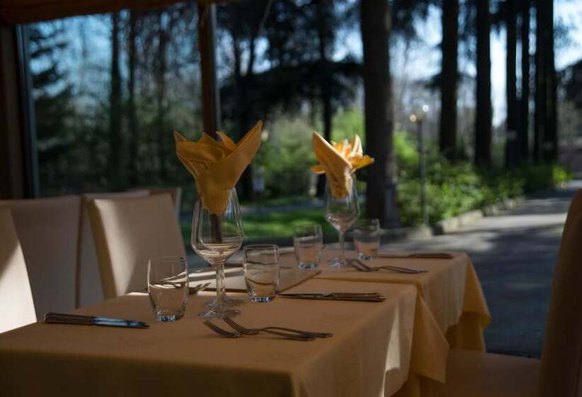 Best Western Air Hotel Linate