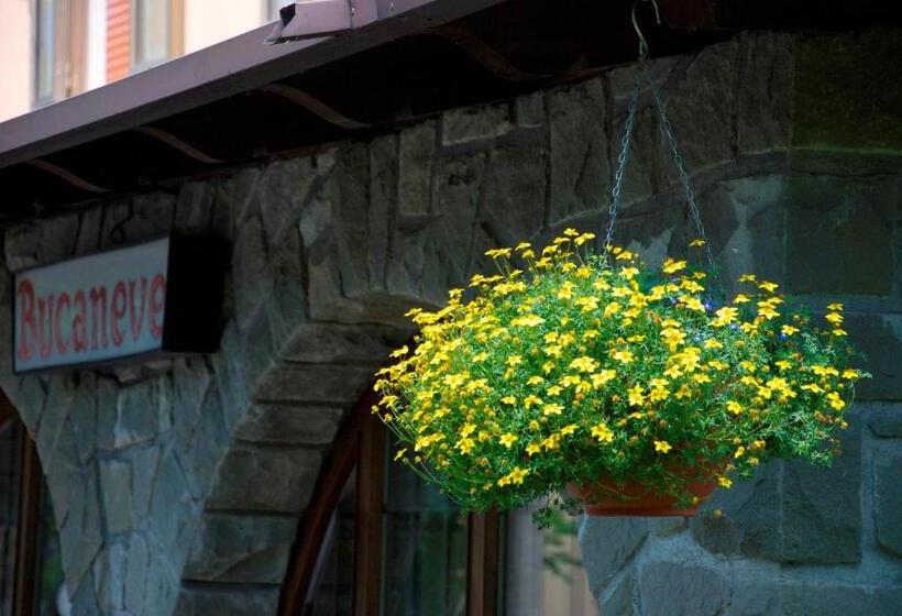 酒店 Albergo Bucaneve