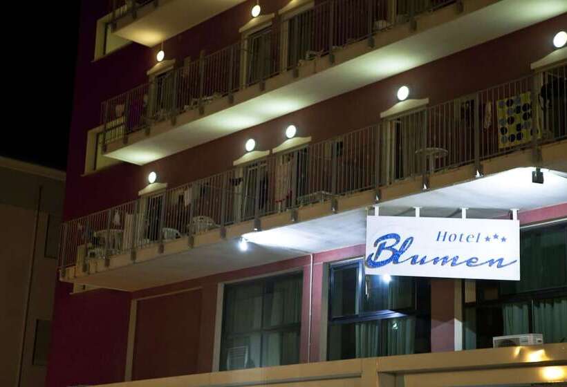 فندق Blumen