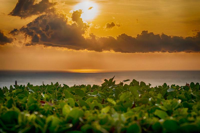 Boutique Hotel Torre Di Cala Piccola