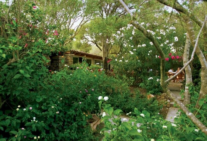 בית מלון כפרי Capo D'orso