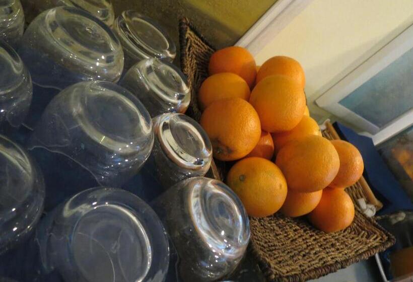 בית מלון כפרי Eden