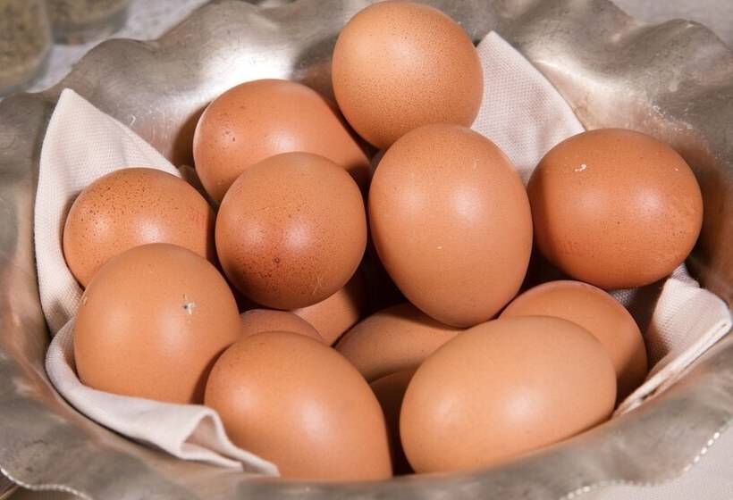 בית מלון כפרי Ercolini & Savi