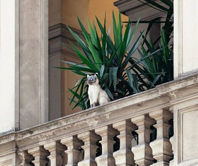 ホテル Gran Duca Di York