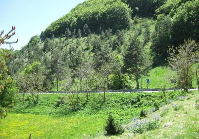 בית מלון כפרי Holidays