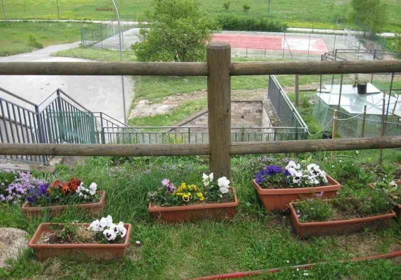 בית מלון כפרי Holidays