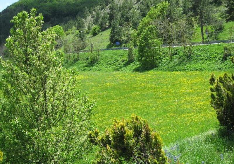 בית מלון כפרי Holidays