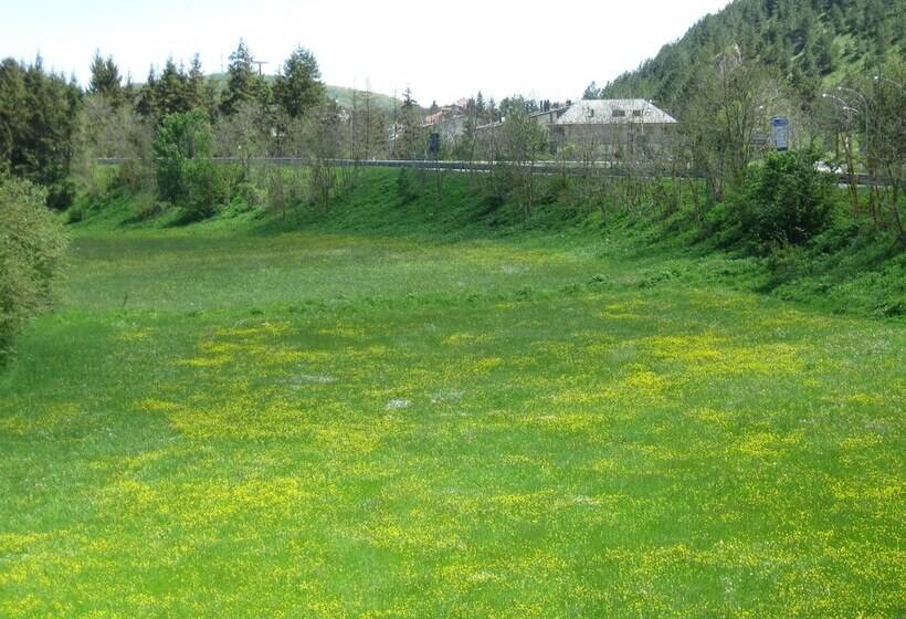 בית מלון כפרי Holidays