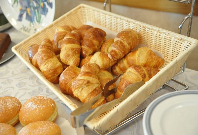 בית מלון כפרי Iris