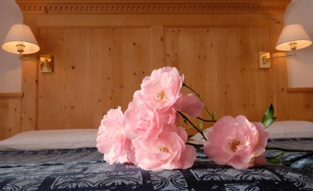 Lake&nature Hotel Gloria