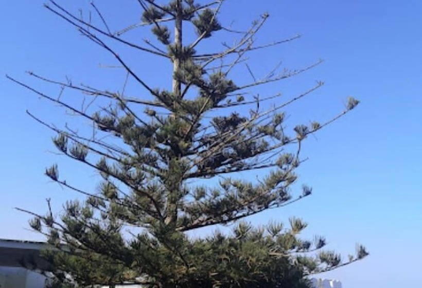 ホテル Mursia Resort & Spa