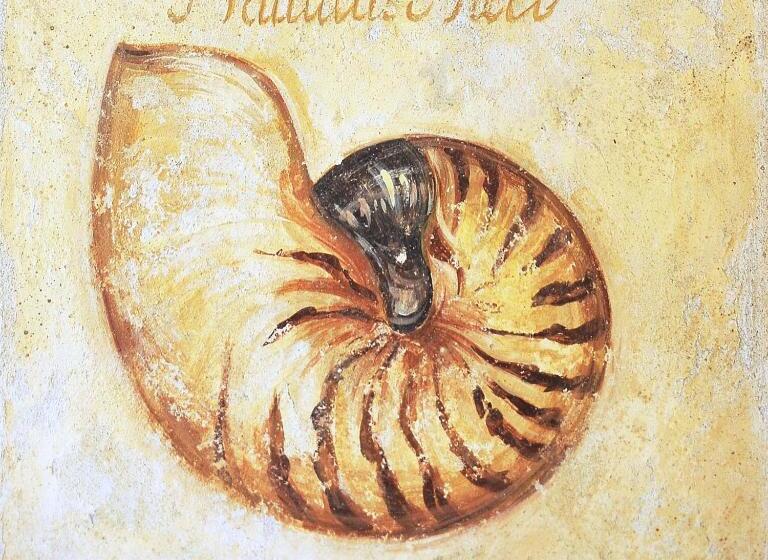 Отель Riviera Blu