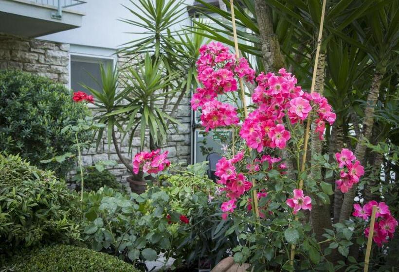 Отель Riviera Blu