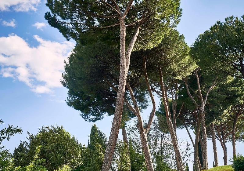 Hotel Rome Cavalieri A Waldorf Astoria