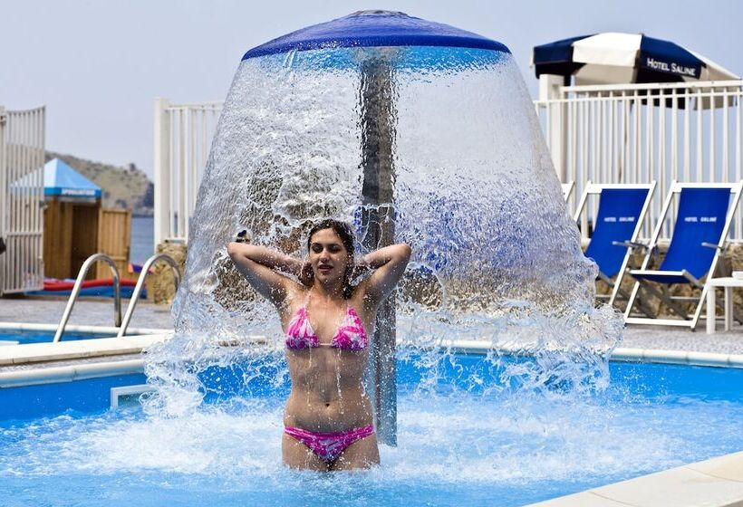 בית מלון כפרי Saline