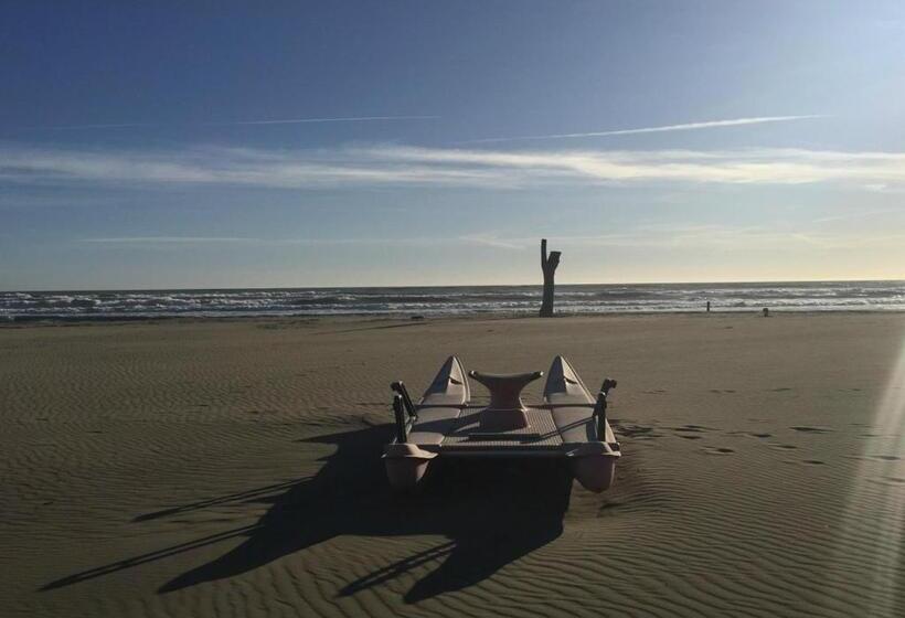 호텔 & Restaurant Storyville