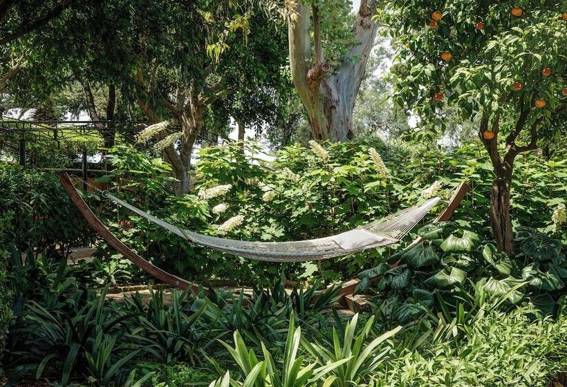 Grand Hotel Ambasciatori