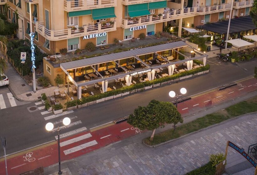 Отель Albergo Celeste