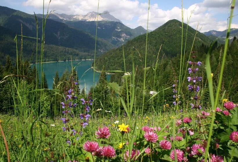 فندق Albergo Riglarhaus