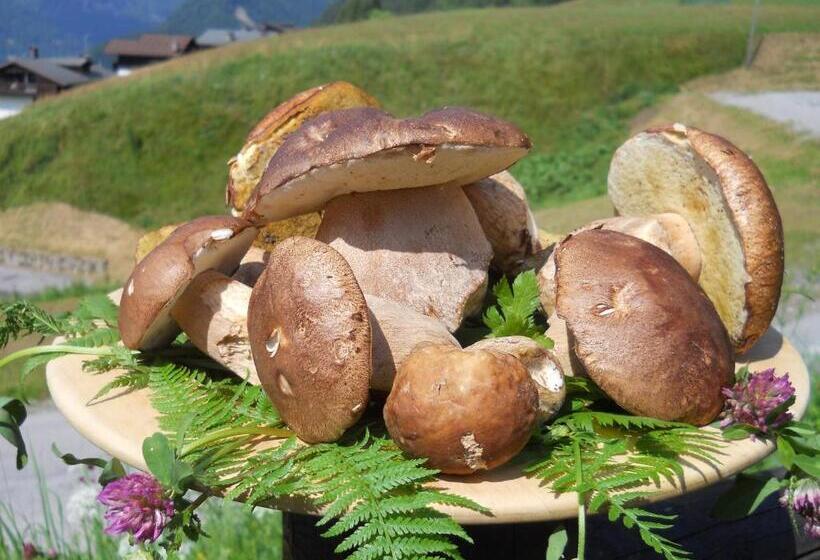 فندق Albergo Riglarhaus