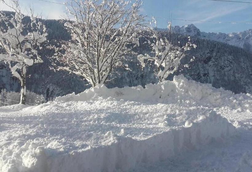 فندق Albergo Riglarhaus