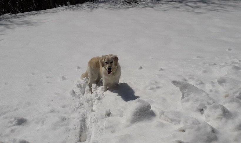 호텔 & Apartments  Perpoin