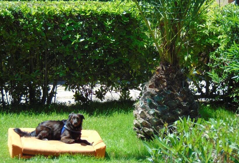 酒店 Argentario Osa Resort