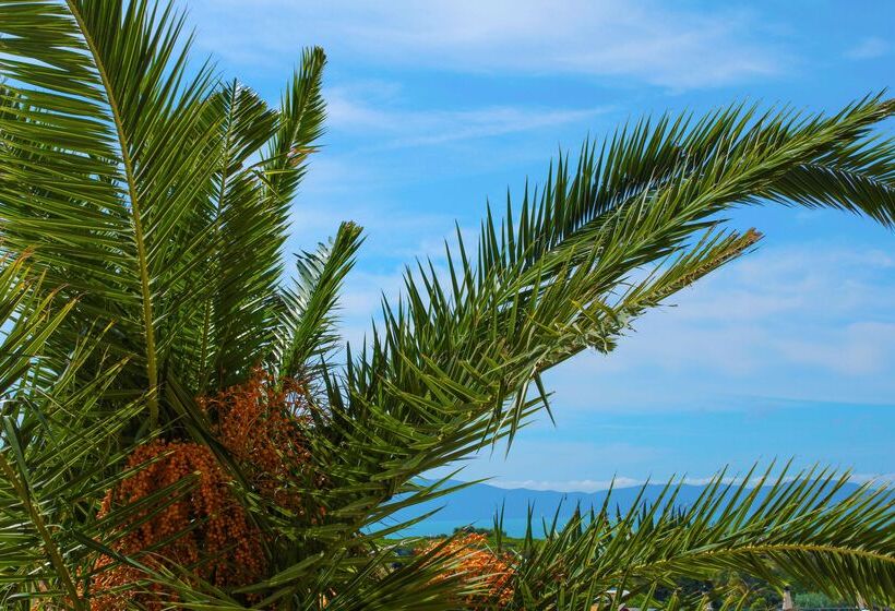 酒店 Argentario Osa Resort