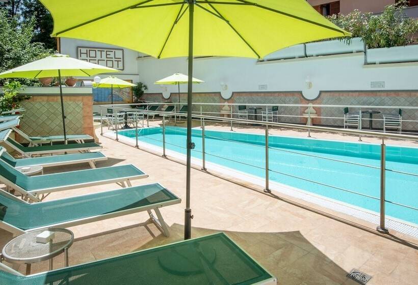 ホテル Ascot Sorrento