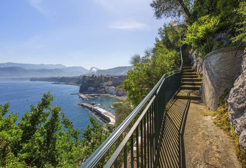 בית מלון כפרי Belair