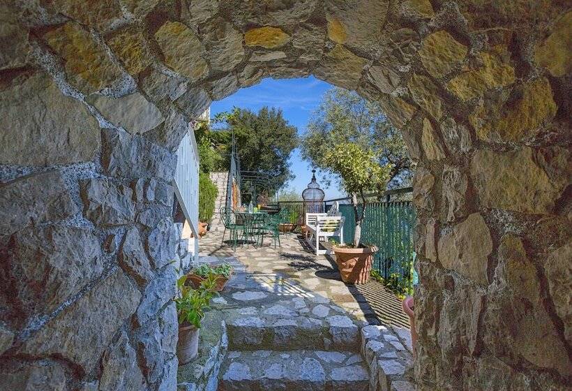 בית מלון כפרי Belair