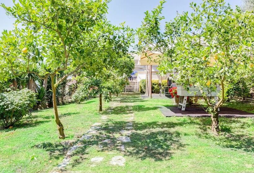 Best Western Hotel La Solara