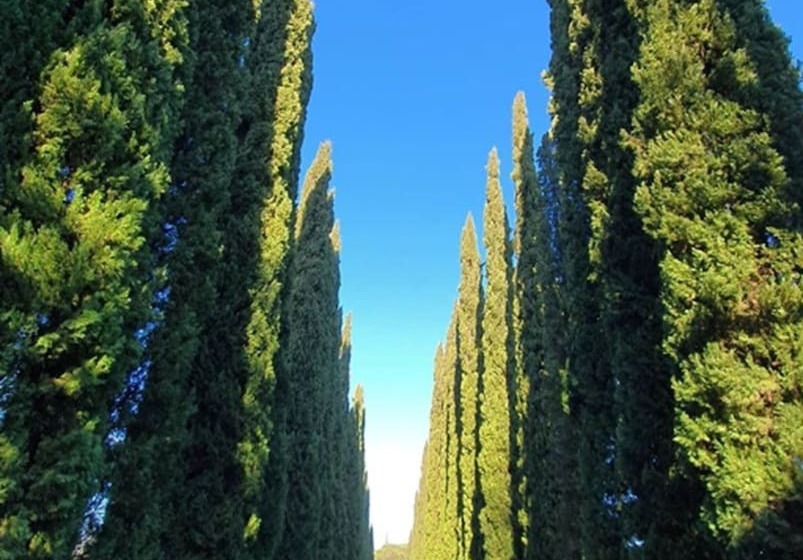 Отель Borgo San Luigi