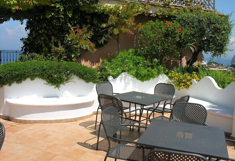 호텔 Central Wellness