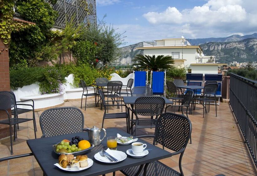 호텔 Central Wellness