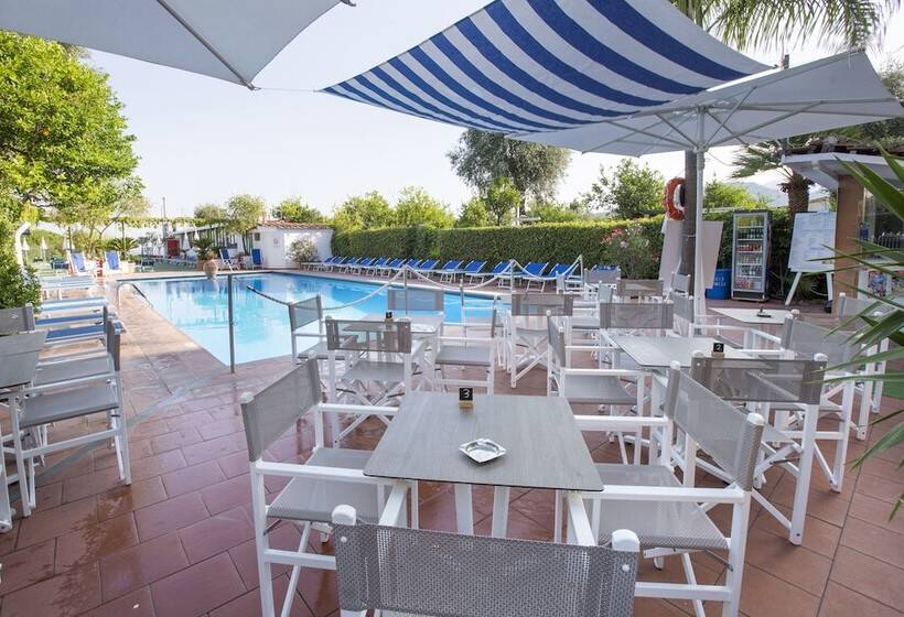 호텔 Central Wellness