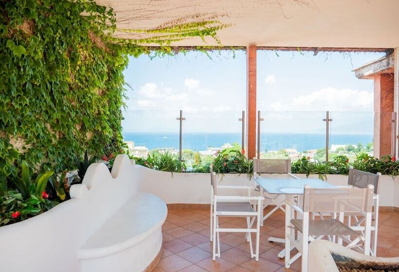 호텔 Central Wellness