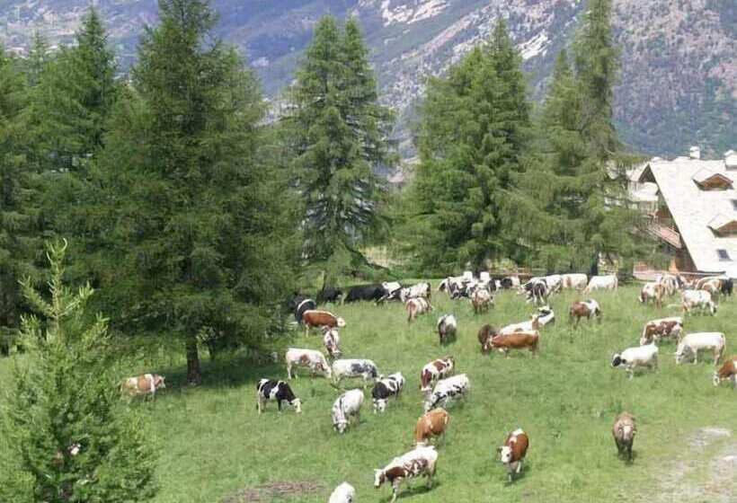 호텔 Chalet Il Capricorno