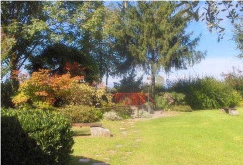 فندق Antica Dogana