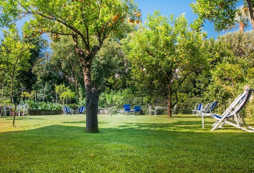 호텔 Eliseo Park's