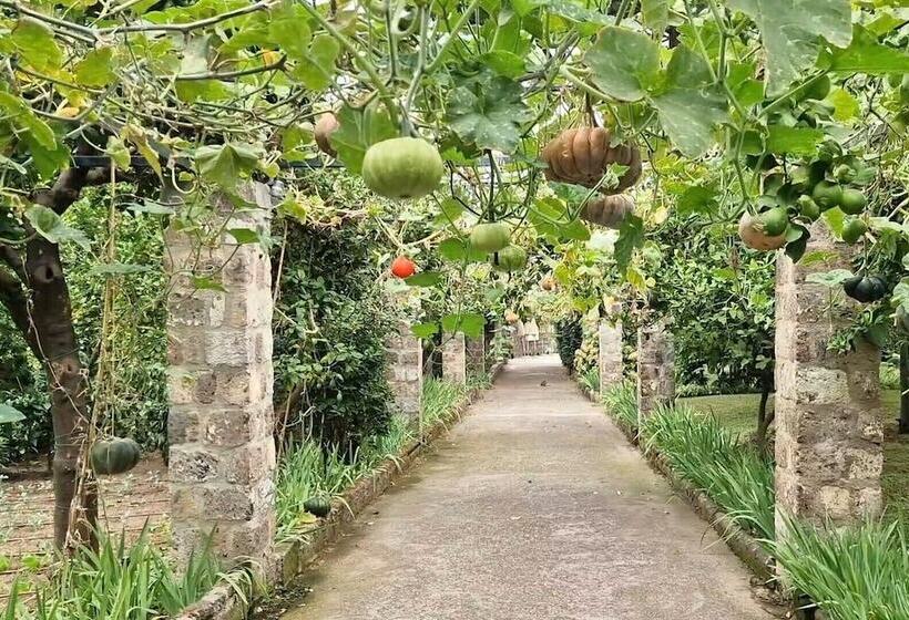 Grand Hotel Cocumella