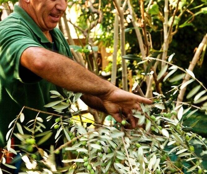 Grand Hotel Excelsior Vittoria