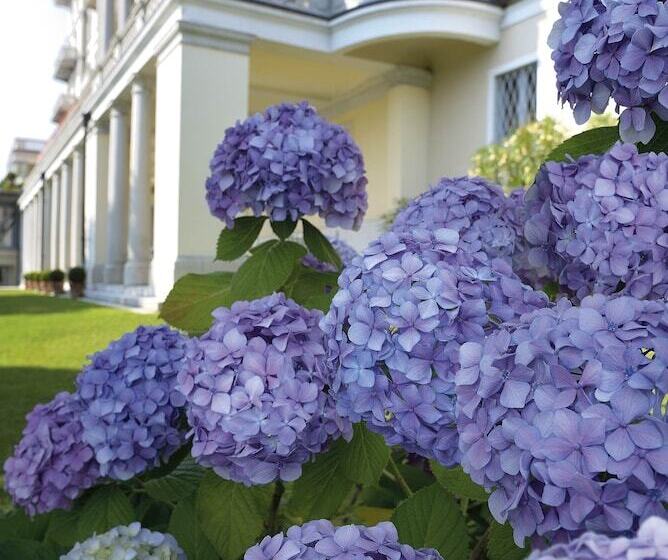 Grand Hotel Majestic