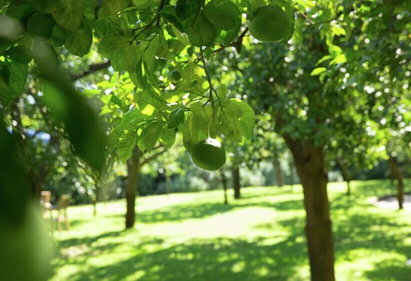 호텔 Hilton Sorrento Palace