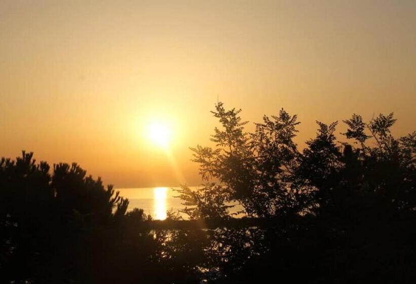 Отель Internazionale