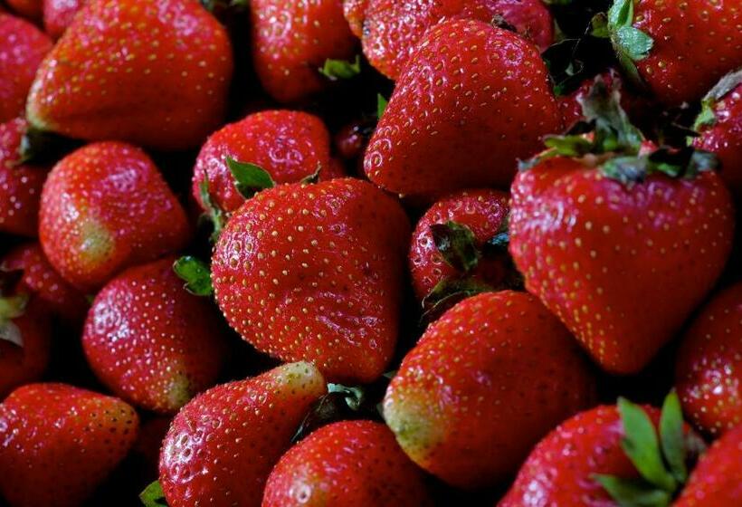 בית מלון כפרי Locanda Dell'Amorosa