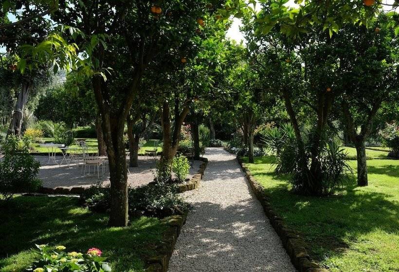 酒店 Majestic Palace